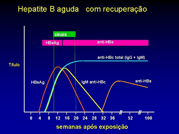 Hepatite B aguda com recuperação sinais HBe. Ag anti-HBe anti-HBc total (Ig. G +