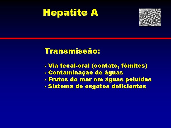 Hepatite A Transmissão: - Via fecal-oral (contato, fômites) - Contaminação de águas - Frutos