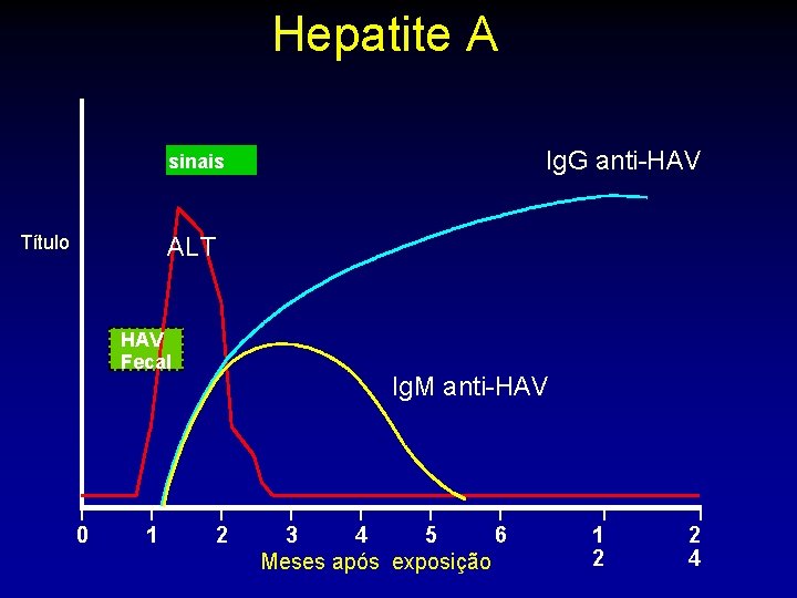 Hepatite A Ig. G anti-HAV sinais Título ALT HAV Fecal 0 1 Ig. M