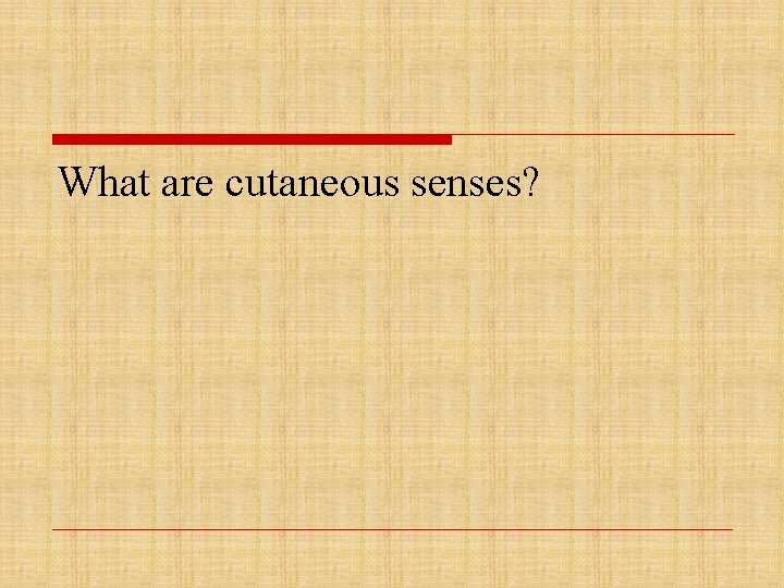 What are cutaneous senses? 