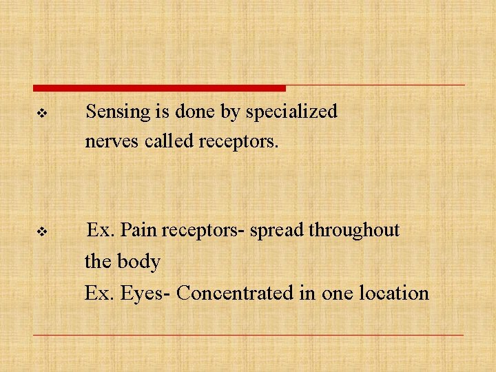 v Sensing is done by specialized nerves called receptors. v Ex. Pain receptors- spread