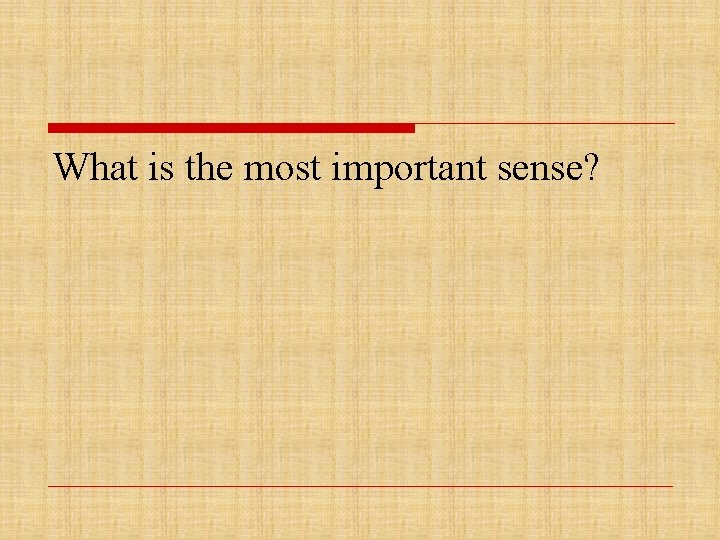 What is the most important sense? 