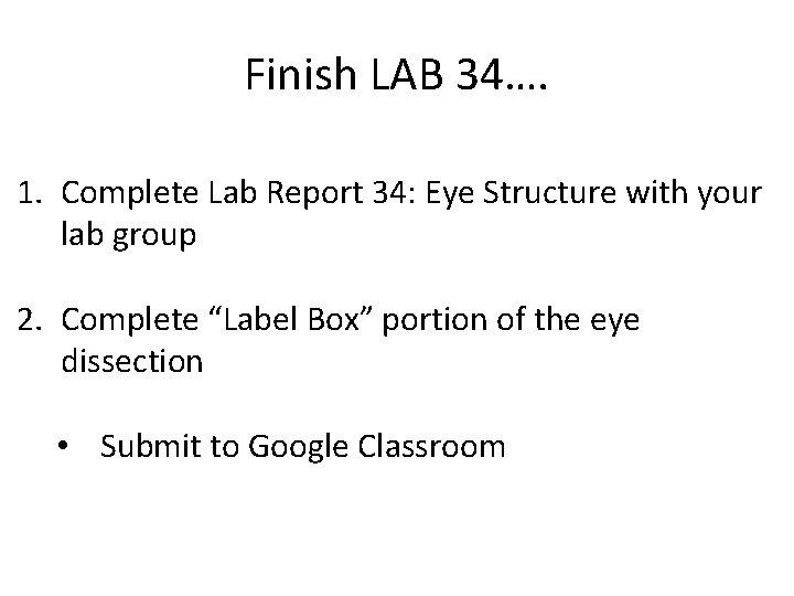 Finish LAB 34…. 1. Complete Lab Report 34: Eye Structure with your lab group