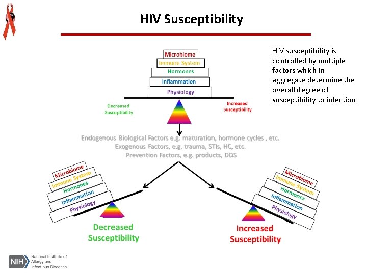 HIV Susceptibility HIV susceptibility is controlled by multiple factors which in aggregate determine the