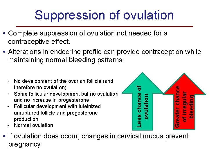 Suppression of ovulation Greater chance of irregular bleeding • No development of the ovarian