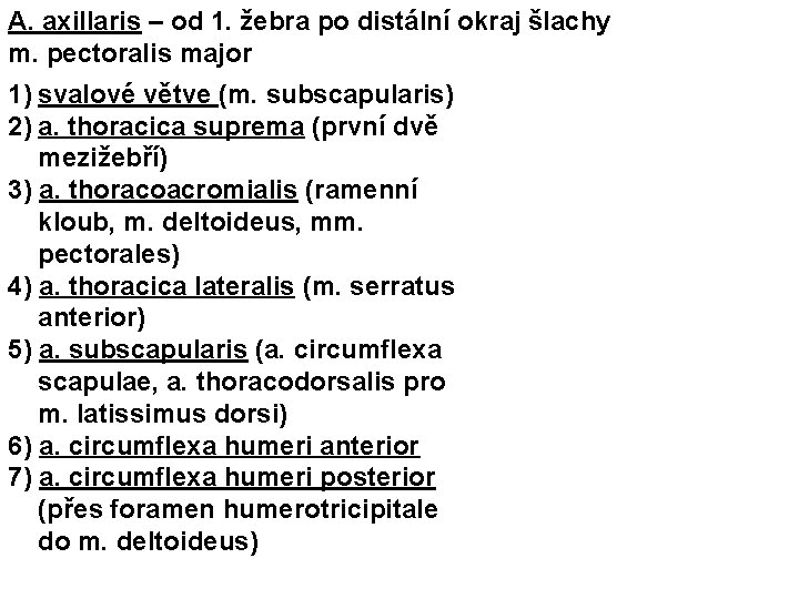 A. axillaris – od 1. žebra po distální okraj šlachy m. pectoralis major 1)