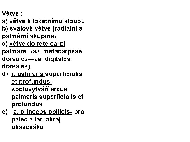 Větve : a) větve k loketnímu kloubu b) svalové větve (radiální a palmární skupina)