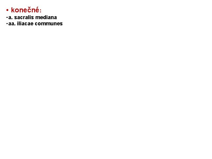  • konečné: • a. sacralis mediana • aa. iliacae communes 