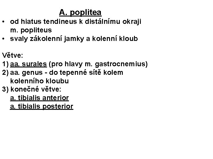 A. poplitea • od hiatus tendineus k distálnímu okraji m. popliteus • svaly zákolenní