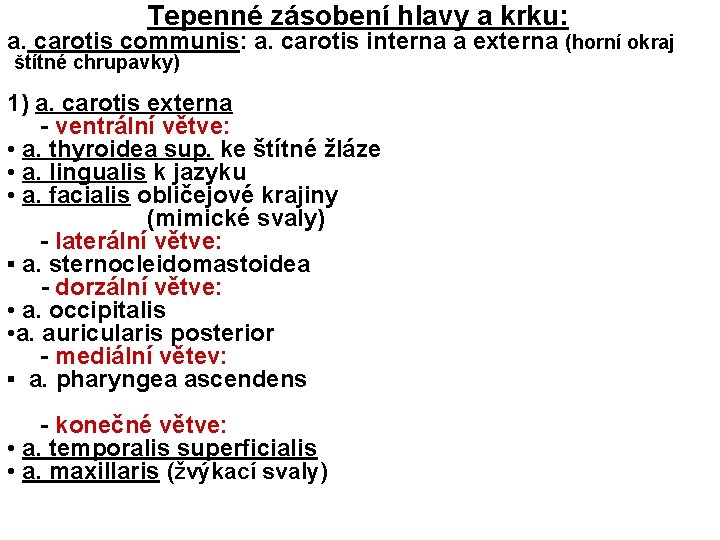 Tepenné zásobení hlavy a krku: a. carotis communis: a. carotis interna a externa (horní