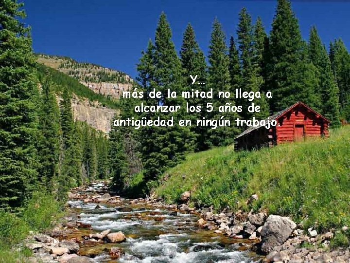 Y… más de la mitad no llega a alcanzar los 5 años de antigüedad