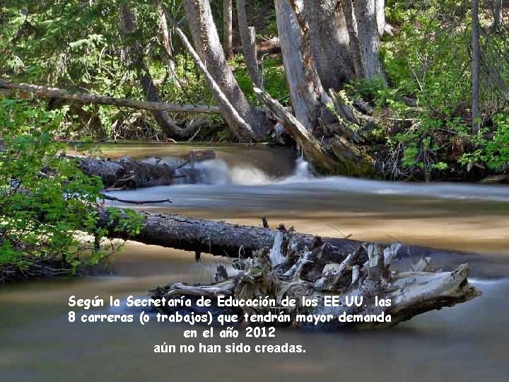 Según la Secretaría de Educación de los EE. UU. las 8 carreras (o trabajos)