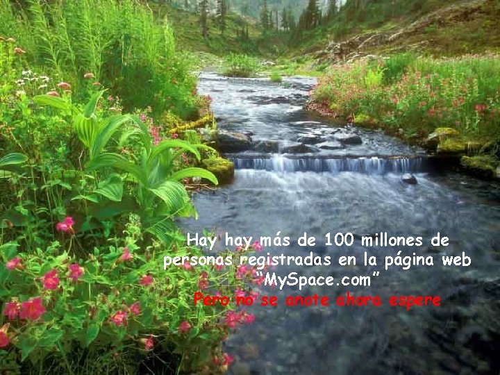 Hay hay más de 100 millones de personas registradas en la página web “My.