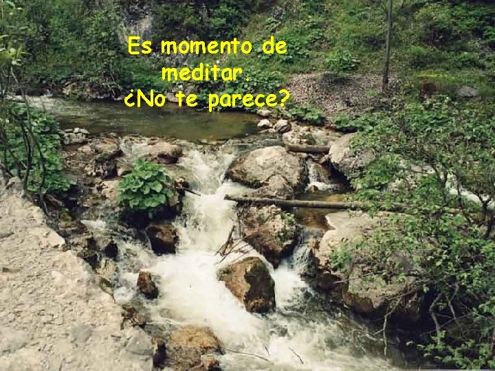 Es momento de meditar. ¿No te parece? 