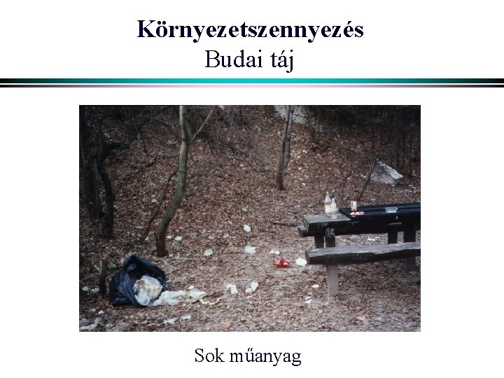 Környezetszennyezés Budai táj Sok műanyag 