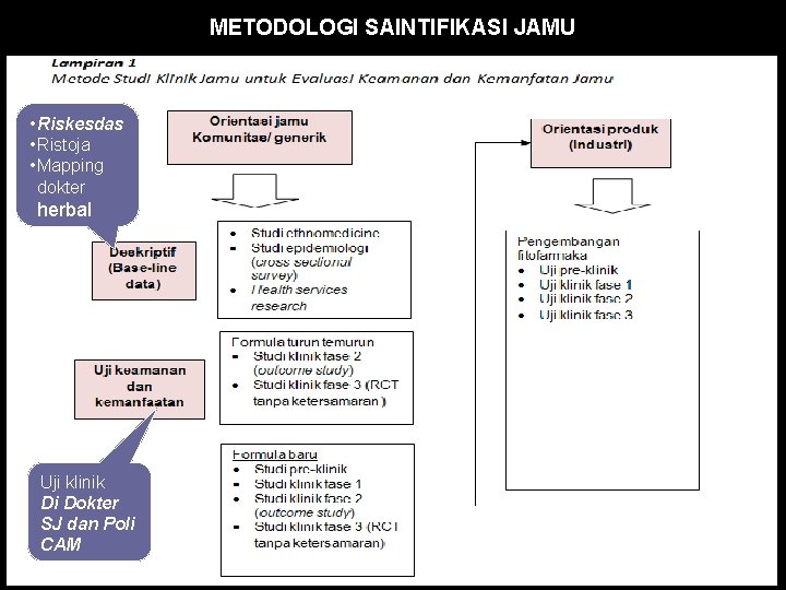 METODOLOGI SAINTIFIKASI JAMU • Riskesdas • Ristoja • Mapping dokter herbal Uji klinik Di