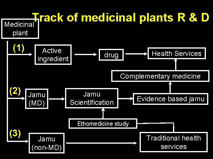 Track of medicinal plants R & D Medicinal plant (1) Active ingredient Health Services