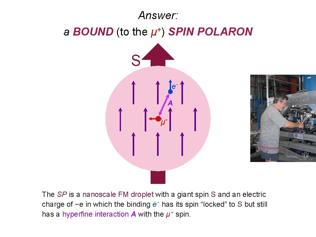 Answer: a BOUND (to the μ+) SPIN POLARON S e− A μ+ The SP