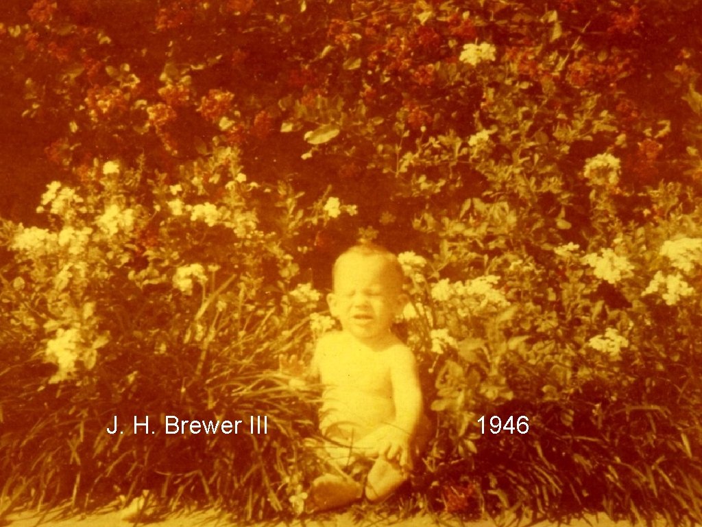 J. H. Brewer III 1946 
