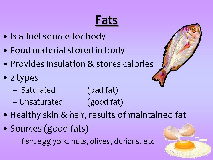 Fats • Is a fuel source for body • Food material stored in body