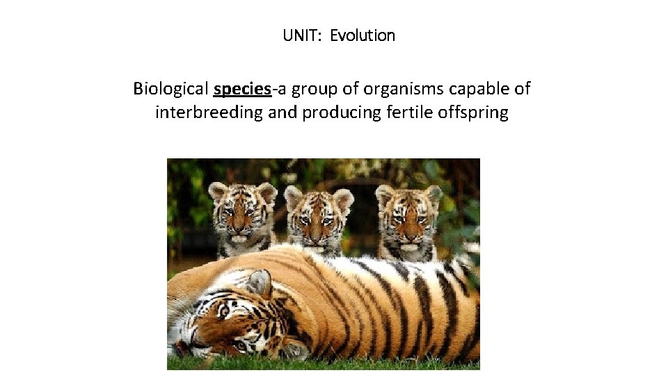 UNIT: Evolution Biological species-a group of organisms capable of interbreeding and producing fertile offspring