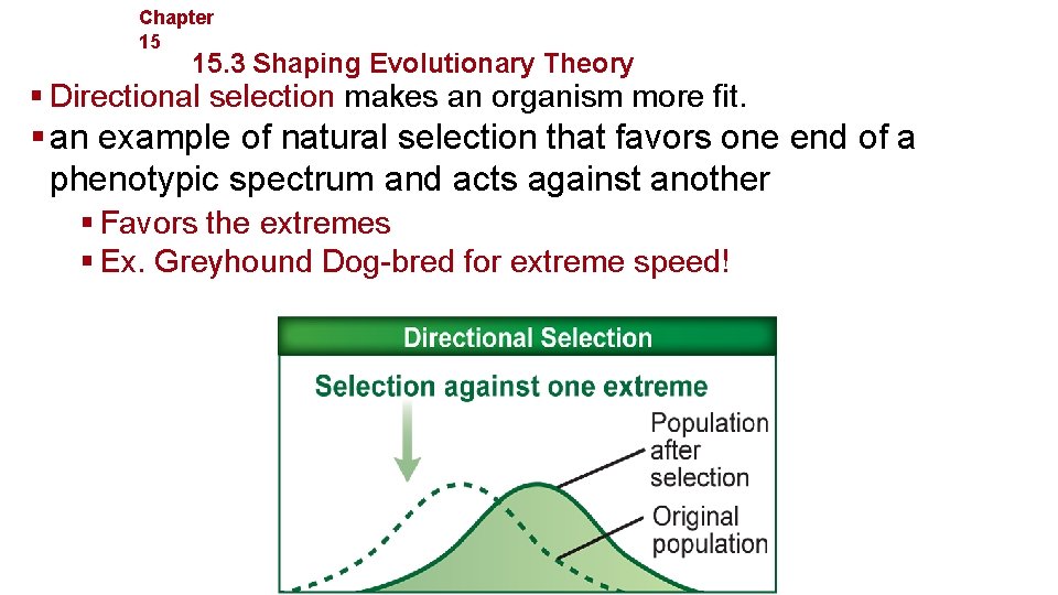 Chapter 15 Evolution 15. 3 Shaping Evolutionary Theory § Directional selection makes an organism