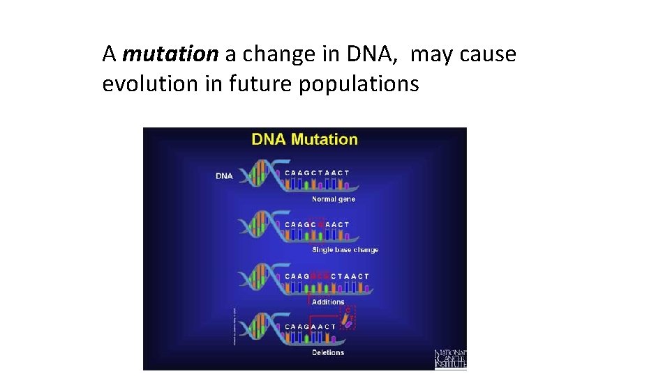 A mutation a change in DNA, may cause evolution in future populations 