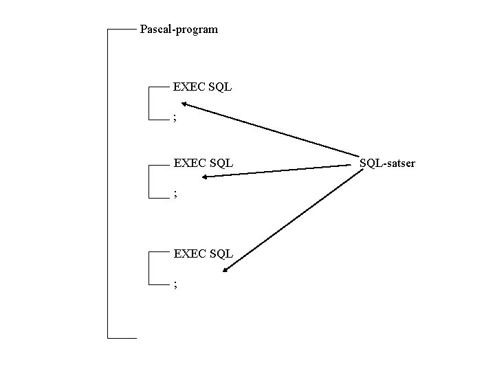 Pascal-program EXEC SQL ; SQL-satser 