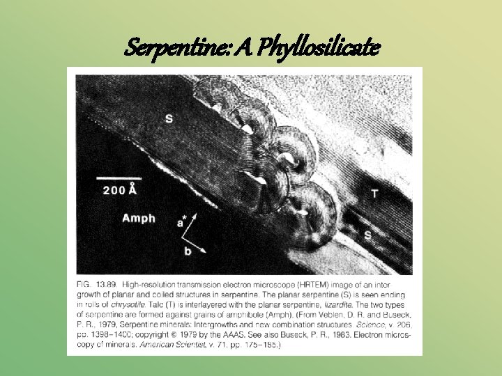 Serpentine: A Phyllosilicate 