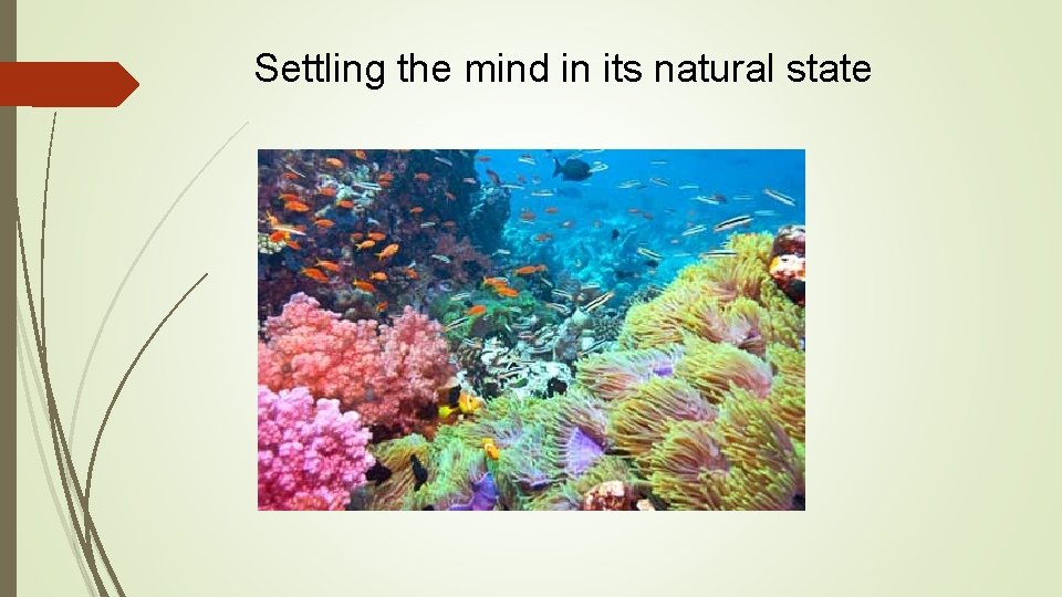 Settling the mind in its natural state 