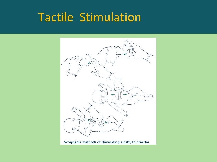 Tactile Stimulation 