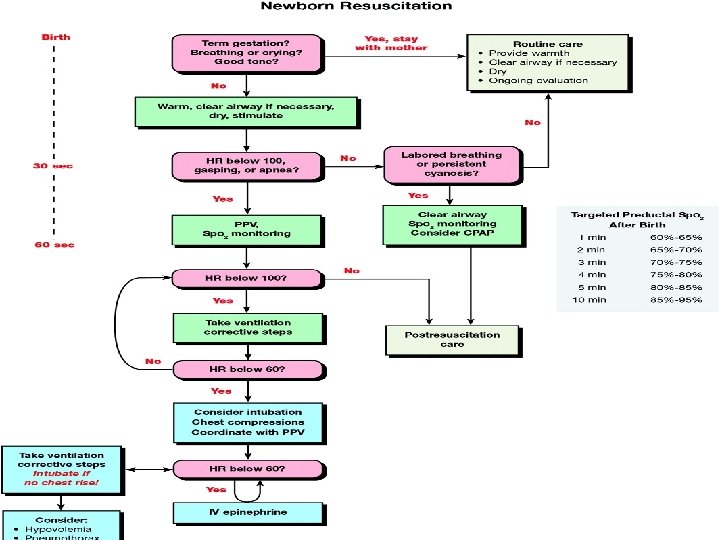 INITIAL STEPS OF RESUSCITATION 