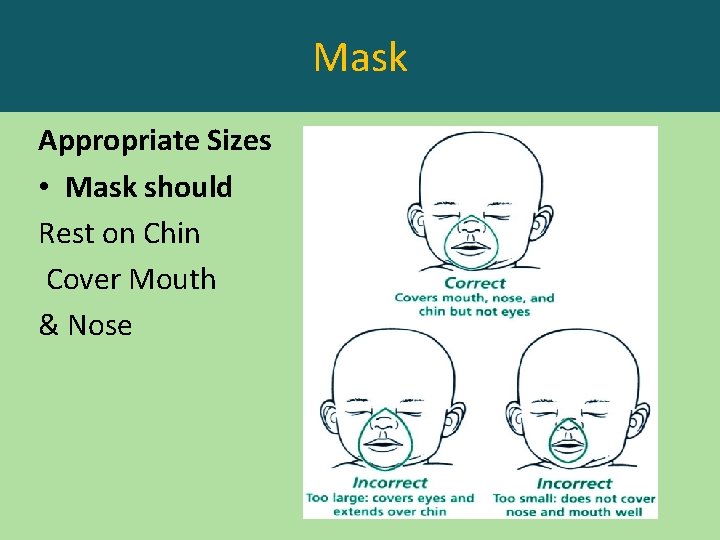 Mask Appropriate Sizes • Mask should Rest on Chin Cover Mouth & Nose 