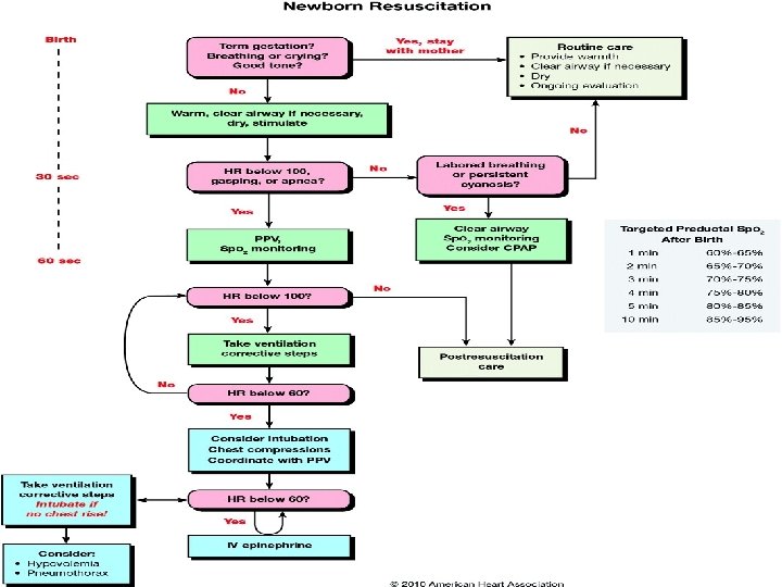 INITIAL STEPS OF RESUSCITATION 