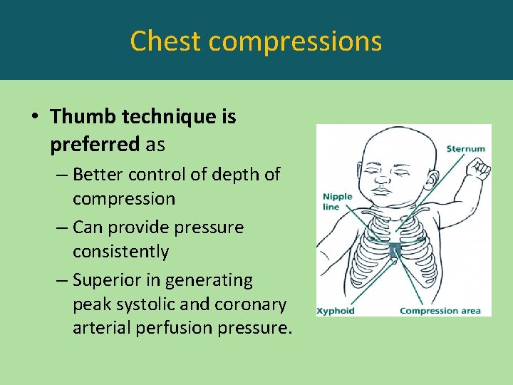 Chest compressions • Thumb technique is preferred as – Better control of depth of