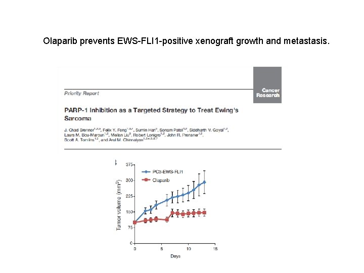 Phase I Study of Olaparib and Temozolomide in