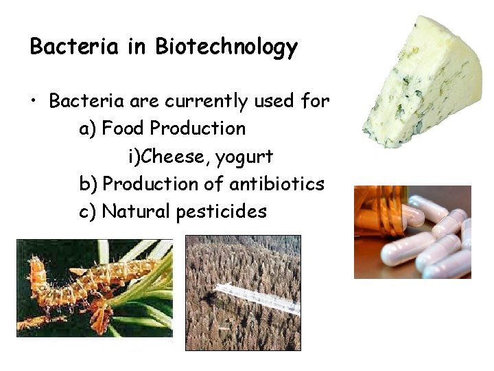 Bacteria in Biotechnology • Bacteria are currently used for a) Food Production i)Cheese, yogurt
