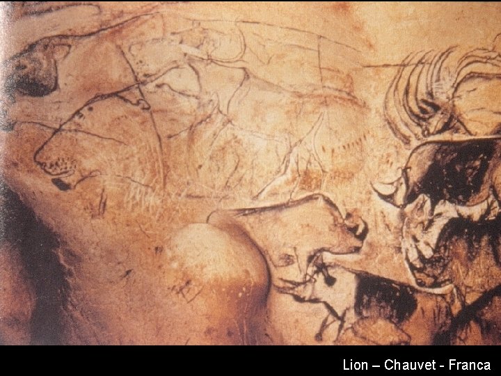 Lion – Chauvet - Franca 