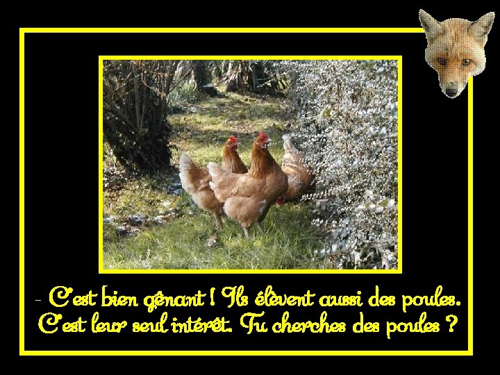 - C’est bien gênant ! Ils élèvent aussi des poules. C’est leur seul intérêt.