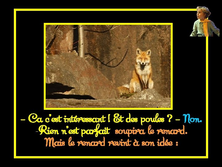 – Ca c’est intéressant ! Et des poules ? – Non. -Rien n’est parfait