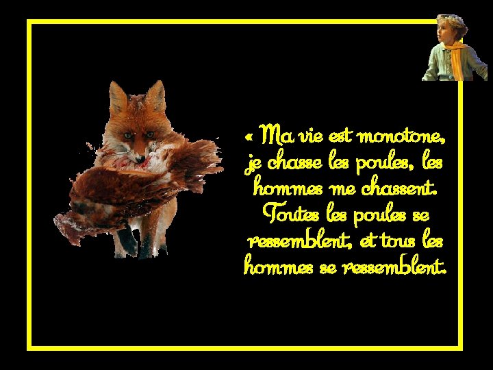  « Ma vie est monotone, je chasse les poules, les hommes me chassent.