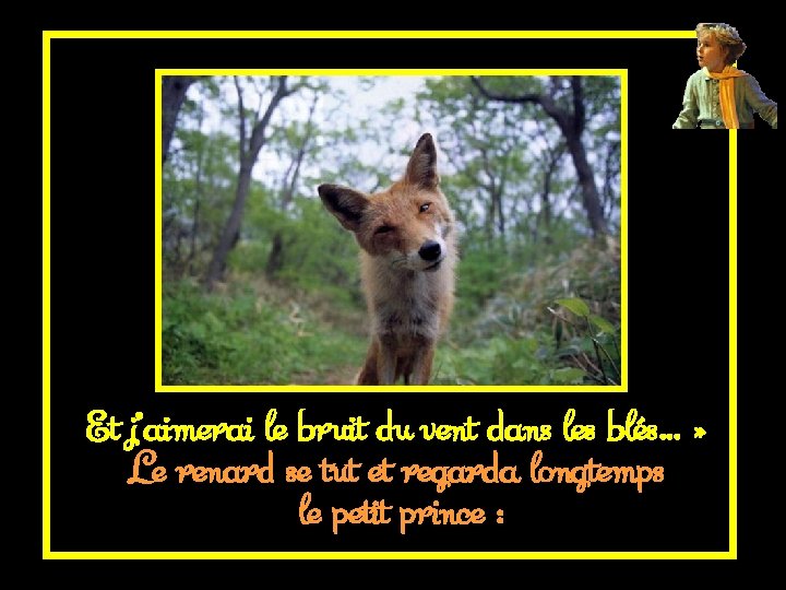 Et j’aimerai le bruit du vent dans les blés… » Le renard se tut