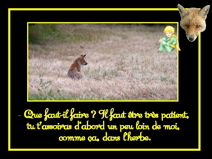 - Que faut-il faire ? Il faut être très patient, tu t’assoiras d’abord un
