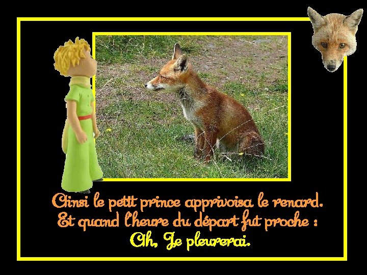 Ainsi le petit prince apprivoisa le renard. Et quand l’heure du départ fut proche