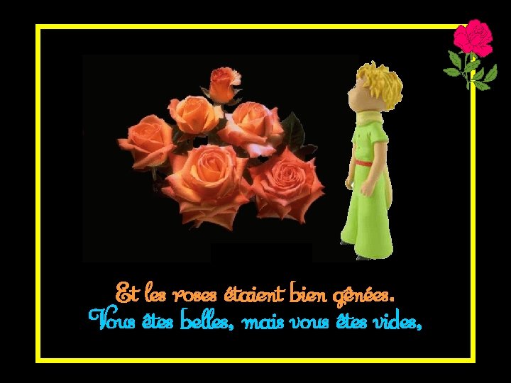 Et les roses étaient bien gênées. Vous êtes belles, mais vous êtes vides, 