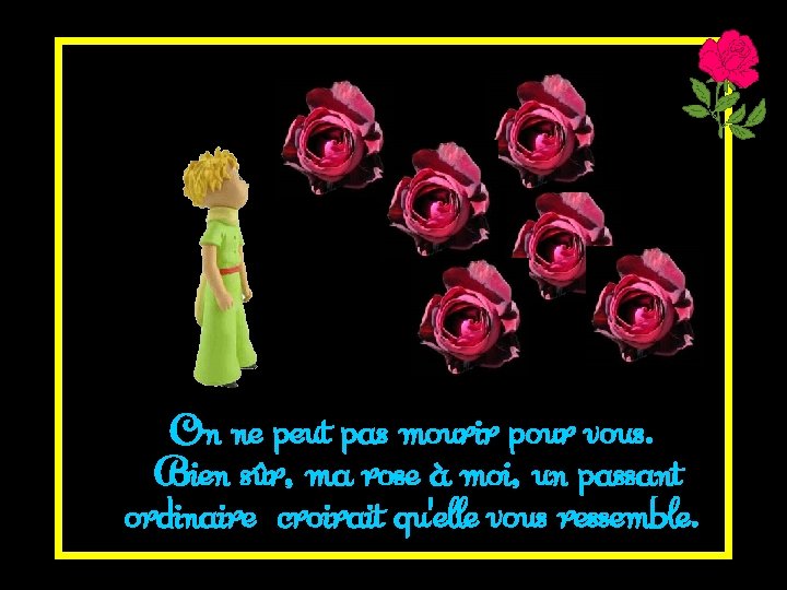 On ne peut pas mourir pour vous. Bien sûr, ma rose à moi, un