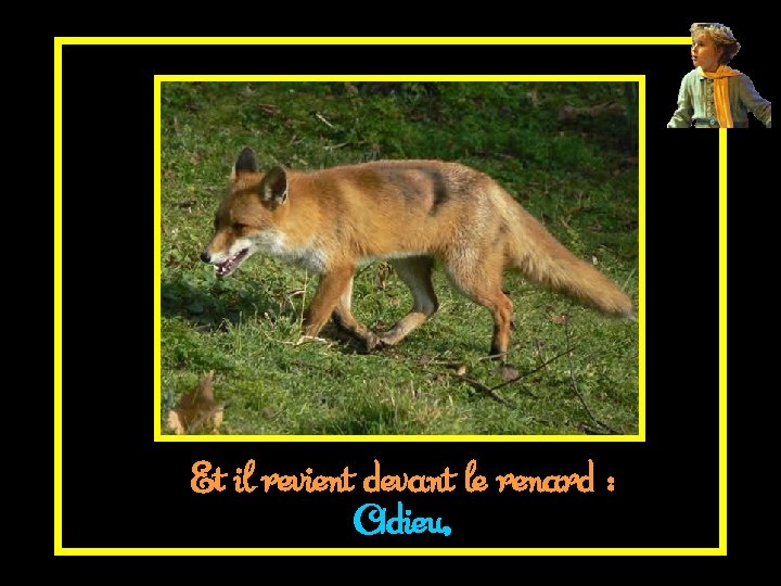 Et il revient devant le renard : Adieu, 
