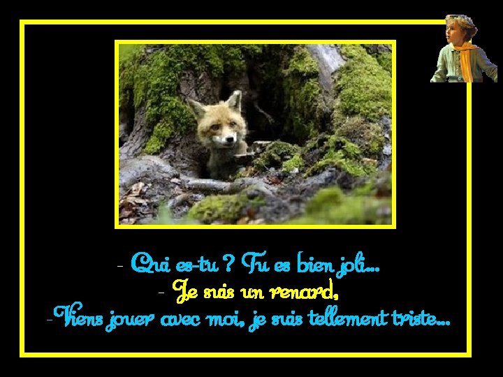 - Qui es-tu ? Tu es bien joli… - Je suis un renard, -Viens