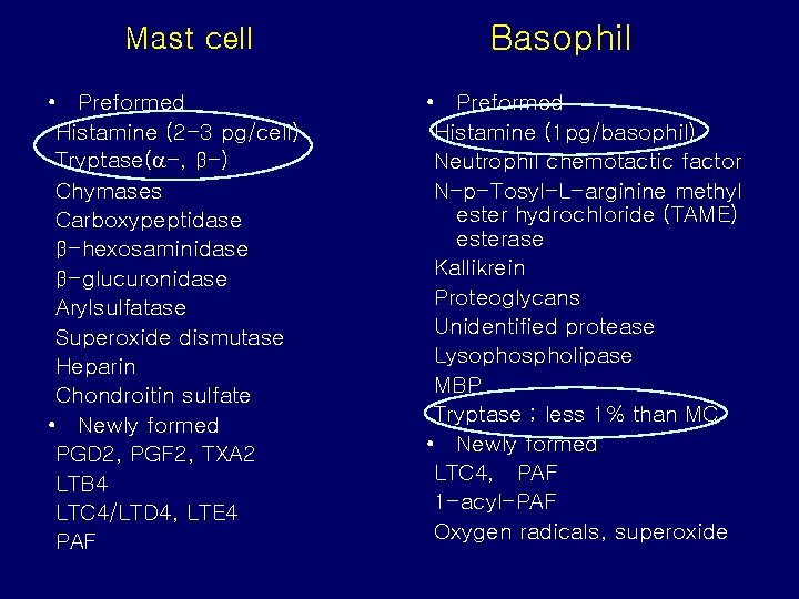Mast cell • Preformed Histamine (2 -3 pg/cell) Tryptase( -, β-) Chymases Carboxypeptidase β-hexosaminidase