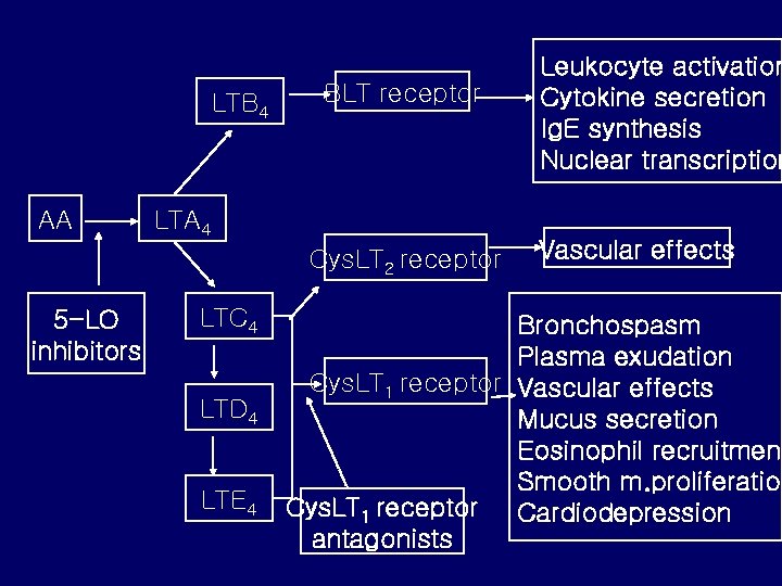 LTB 4 AA BLT receptor LTA 4 Cys. LT 2 receptor 5 -LO inhibitors